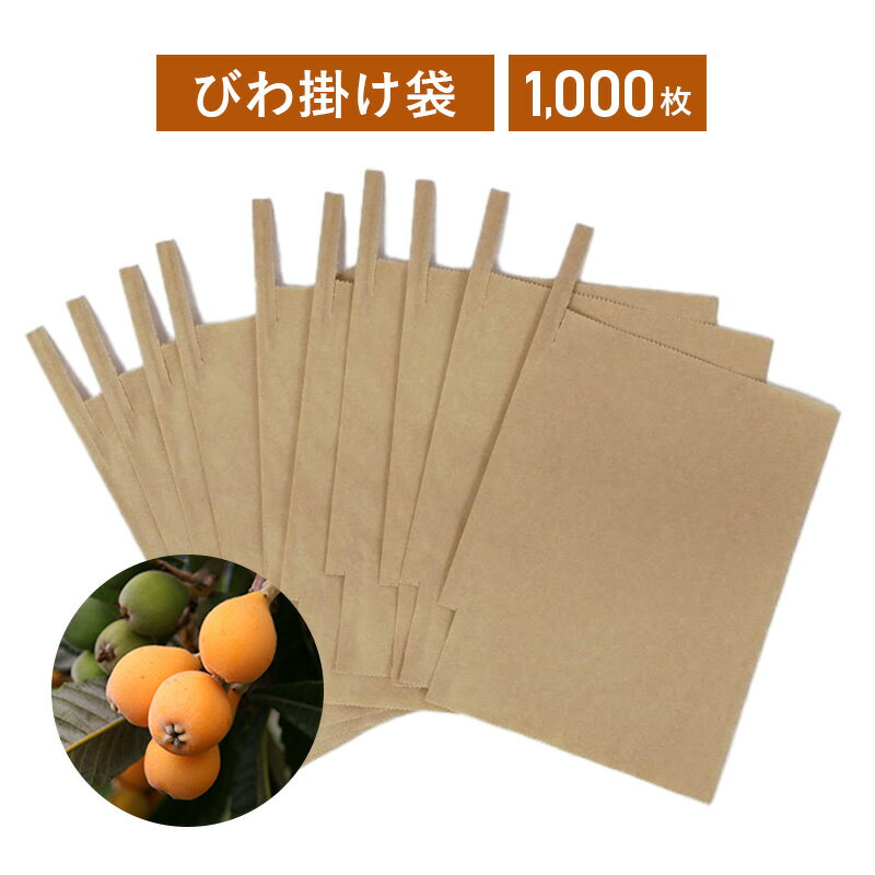 びわ掛袋 1000枚入り 房掛用【送料無料】 果実袋 掛袋 ビワ 枇杷袋