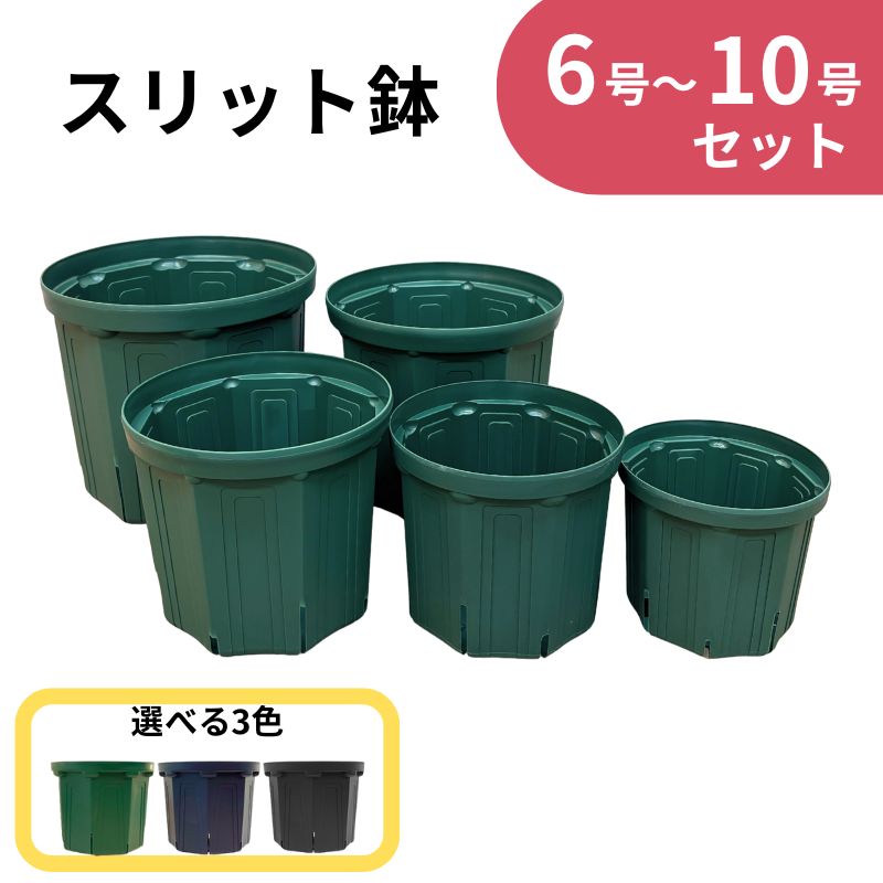 スリット鉢 6～10号 セット 6号 7号 8号 9号 10号 1鉢ずつ