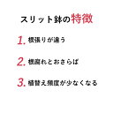 4号スリット鉢（ロングタイプ） 直径12cm CSM-120L 4号ロング モスグリーン 紺