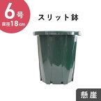 6号スリット鉢【懸崖タイプ】（グリーン）　直径18cm　CSK-180　植木鉢