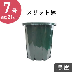 7号スリット鉢【懸崖タイプ】（グリーン）　直径21cm CSK-210