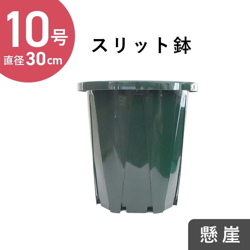 植木鉢 おしゃれ 軽い テラニアスバルーン (2色) 10号 11.5号 14号 18号 30cm 35cm 42cm 55cm FRP プラスチック 軽量 底穴あり ブラック グレー ブラウン プランター かわいい 丸い 大型 鉢 アンティーク 室内 屋外 鉢植え 園芸 観葉植物 サボテン 多肉植物 塊根植物 花 ＞