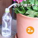水やり楽だぞぅ 4本入り ★ 2袋セット【メール便送料無料】 自動給水 水やり楽だぞう