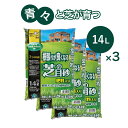 根張りが良くなる 芝の目砂 3袋セット 14L×3 自然応用科学 【送料無料】