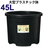 45åȥȭNPݥåȡľ48cm45L16ȭˡ緿ȭץȭ#45