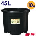 45リットル鉢 10個入り【ケース販売】送料無料 ※代引不可 45リットル鉢 10個入り【ケース販売】送料無料 ※代引不可