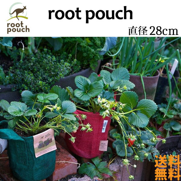 root pouch (ルーツポーチ）直径28cm 【メール便送料無料】5#
