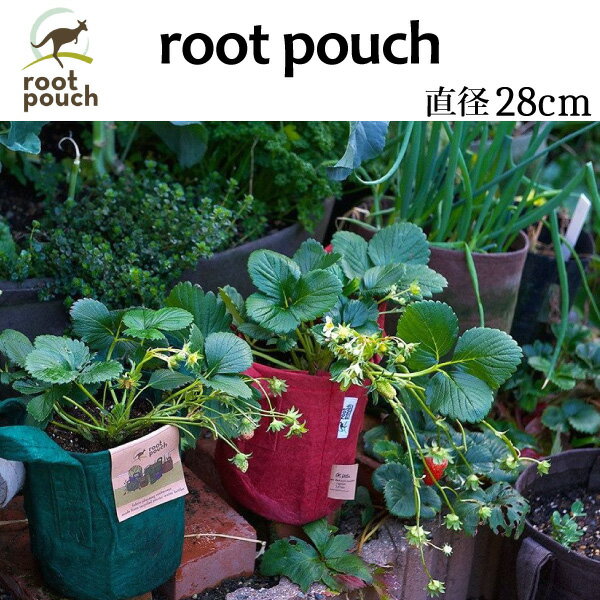 root pouch(ルーツポーチ) 直径28cm ＜宅配便でのお届け＞ 5