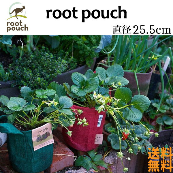 root pouch (ルーツポーチ）直径25.5cm【メール便送料無料】 3