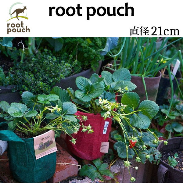 root pouch(ルーツポーチ　直径21cm ＜宅配便でのお届け＞　#2