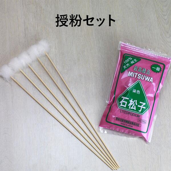 楽天市場】梨 花粉(ガーデニング・農業|花・ガーデン・DIY)の通販 楽天市場】梨 花粉(ガーデニング・農業|花・ガーデン・DIY)の通販