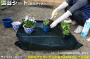 園芸シート 80cm×80cm　【メール便送料無料】 防水タイプ 植え替え用シート ガーデニング用保護シート