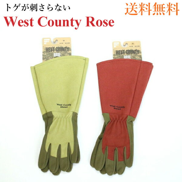 West County Rose (ウェストカウンティーローズ)　【メール便送料無料】 ルビー　モス　ウエストカウンティ