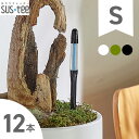 カラー選べる! 水やりチェッカー sustee (サスティー) Sサイズ 12本セット 【メール便送料無料】 水分計 1ダース