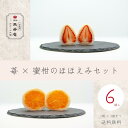 苺 × 蜜柑セットフルーツ大福 6個入り 京都 ギフト お菓子 ホワイトデー お取り寄せスイーツ 高級 和菓子 白あん 求肥 ランキング 京都 御祝 内祝 人気 美味しい グルメ 大人気 美味しい 送料無料 限定 プレゼント