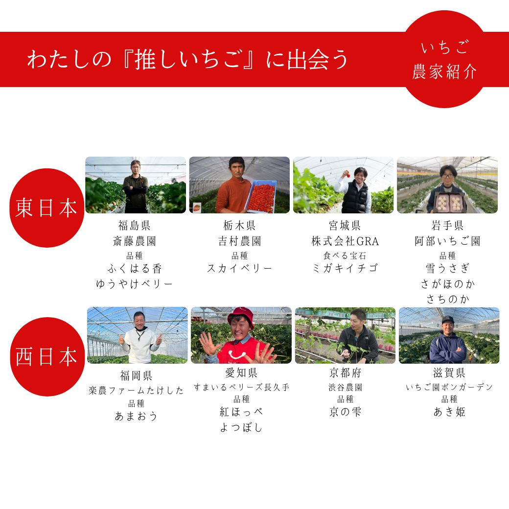 �ڲ̼��áۥե롼����ʡ ���񤤤���������� 12�ĥ��å�(6���2��) ���� ���ե� ���ۻ� �ۥ磻�ȥǡ� �����󤻥������� ��� �²ۻ� �򤢤� ���� ��󥭥� ���� ��� ��� �͵� ��̣���� ����� ��͵� ��̣���� ����̵�� ���� �ץ쥼���