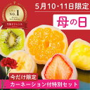 【5/10.11到着分】母の日セット フルーツ大福詰め合わせ 6個 カーネーション付き ギフト お菓子 母の日 お取り寄せスイーツ 高級 和菓子 ランキング 御...