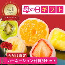 【遅れてごめんね】母の日セット フルーツ大福詰め合わせ 6個 カーネーション付き ギフト お菓子 母の日 お取り寄せスイーツ 高級 和菓子 ランキング 御祝 内...