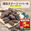 【P5倍&10%OFFクーポン配布 9/4(木)20時~】サイヤーデーツ 無添加 砂糖不使用 200g ~ 800g 高品質 種抜き 種なし サイヤー種 UAE産 デーツ ドライフルーツ スーパーフード 鉄分 妊婦 おやつ お菓子 防災食品 非常食 葉酸 ジップ付き袋 カジュベース
