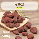 カジュベース 無添加 ドライイチゴ 500g ストロベリー ドライフルーツ ジップ付き袋