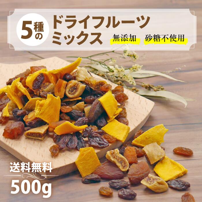 カジュベース 砂糖不使用 無添加 500g ドライフルーツ ミックス 5種 ( マンゴー いちじく アプリコット サルタナレーズン トンプソンレーズン ) ジップ付き袋 ノンオイル