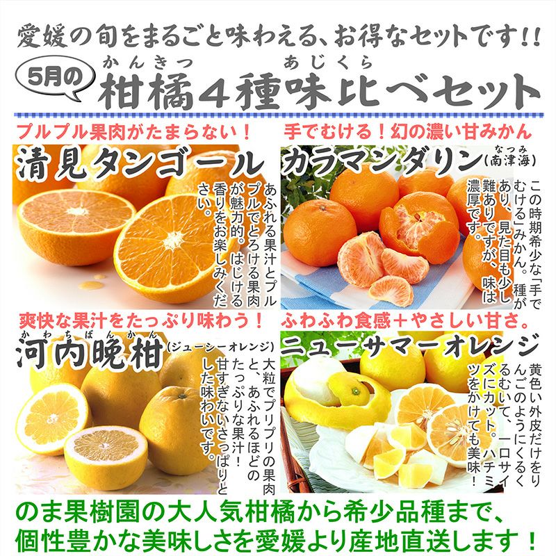 ★5月の柑橘4種味くらべ「プチ」セット