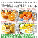 5月の柑橘4種味くらべ「プチ」セット