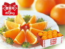 清見タンゴール贈答用約5kg