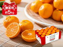 ハウスみかん贈答用約5kg
