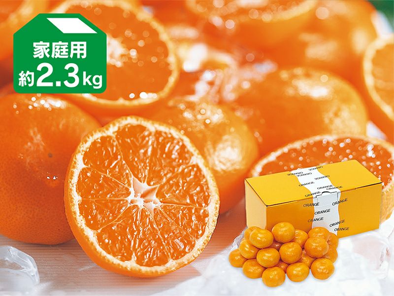 楽天市場】大分ハウスミカンの通販