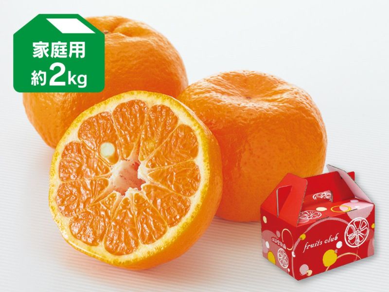 ポンカン 約2kg 家庭用【1月13日頃より順次発送】