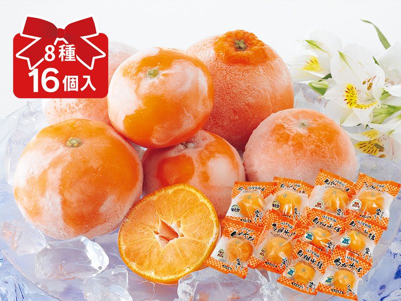冷凍柑橘いろいろ8種セットW（16個