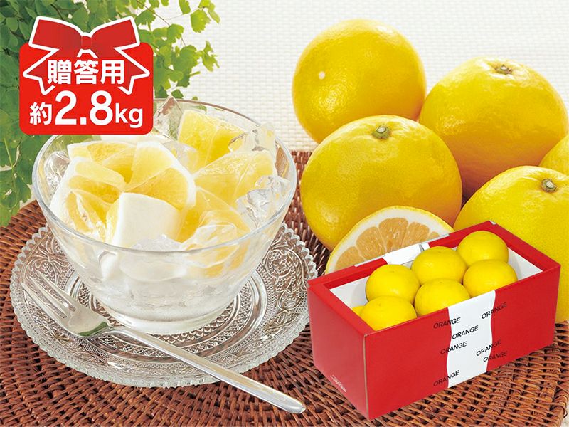 乐天商城 - ニューサマーオレンジ 約2.8kg 贈答用