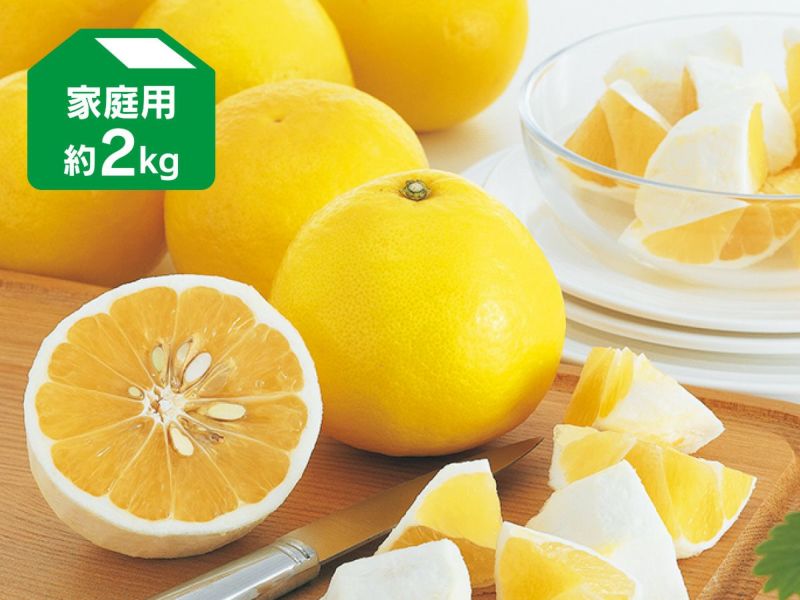 乐天商城 - ニューサマーオレンジ 約2kg 家庭用【5月8日頃より順次発送】