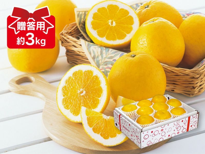 河内晩柑 約3kg 贈答用.