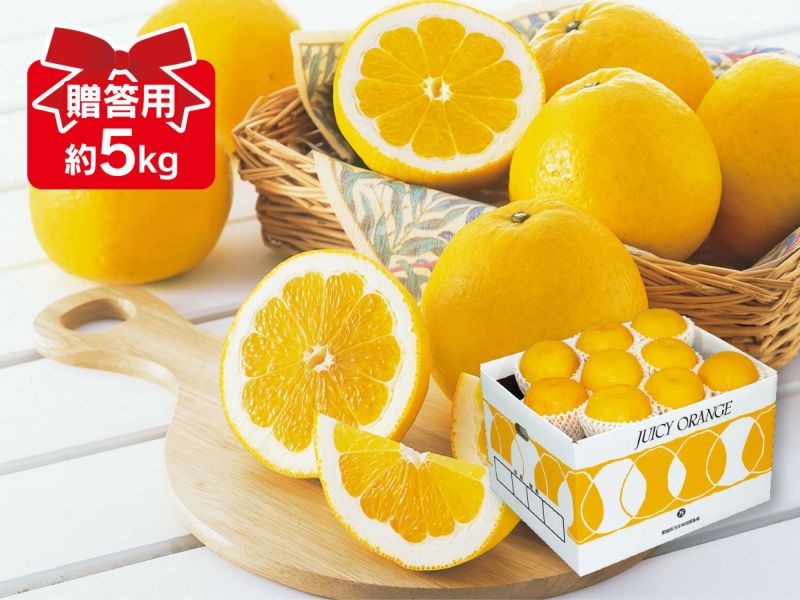 河内晩柑 約5kg 贈答用.