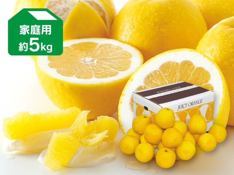 樂天商城 - 河内晩柑 約5kg 家庭用【4月27日頃より順次発送】