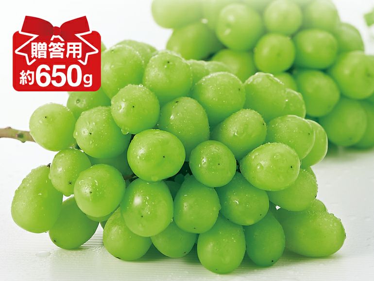 ハウスシャインマスカット 約650g 贈答用（1〜2房）