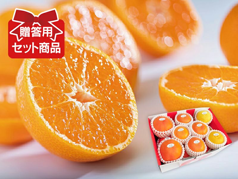 柑橘詰め合わせ(4) 深緑(しんりょく)セット※写真はイメージです。セット内容は入荷状況や時期によって異なります。