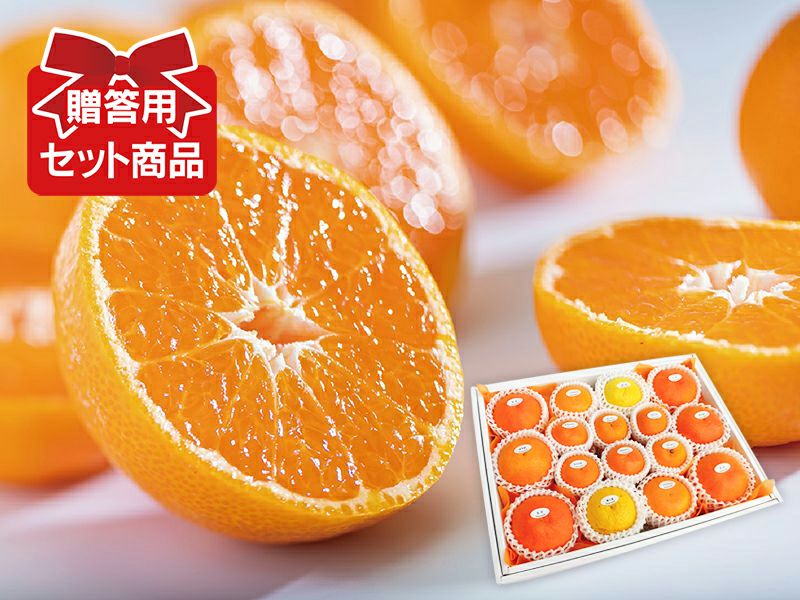 柑橘詰め合わせ(5) 牡丹(ぼたん)セット※写真はイメージです。セット内容は入荷状況や時期によって異なります。