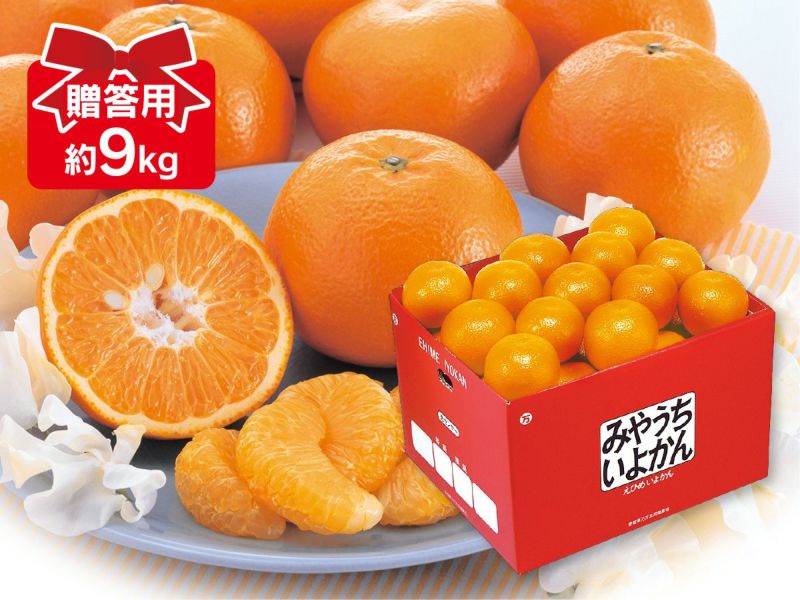 内容量 宮内いよかん 約9kg （3L・2L玉　27～37個程度） 品格 贈答用：1つ1つ手作業によって、並べてお届けいたします。 産地 愛媛産 出荷場所 のま果樹園(愛媛県今治市)より発送 出荷日 1月中旬頃～2月下旬頃まで（在庫限り）