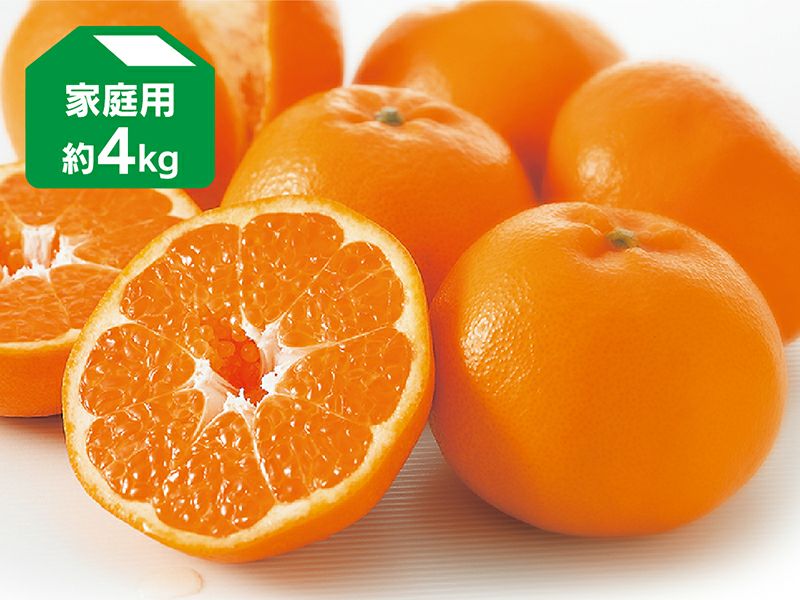 内容量 はるみ 約4kg 家庭用 （14～25個程度、2L～L玉中心） 品格 家庭用：バラ詰めだからお得にお届け。ご自宅や親しい方への贈り物に！ 産地 愛媛・広島(瀬戸内)産 出荷場所 のま果樹園(愛媛県今治市)より発送 出荷日 2月上旬頃...