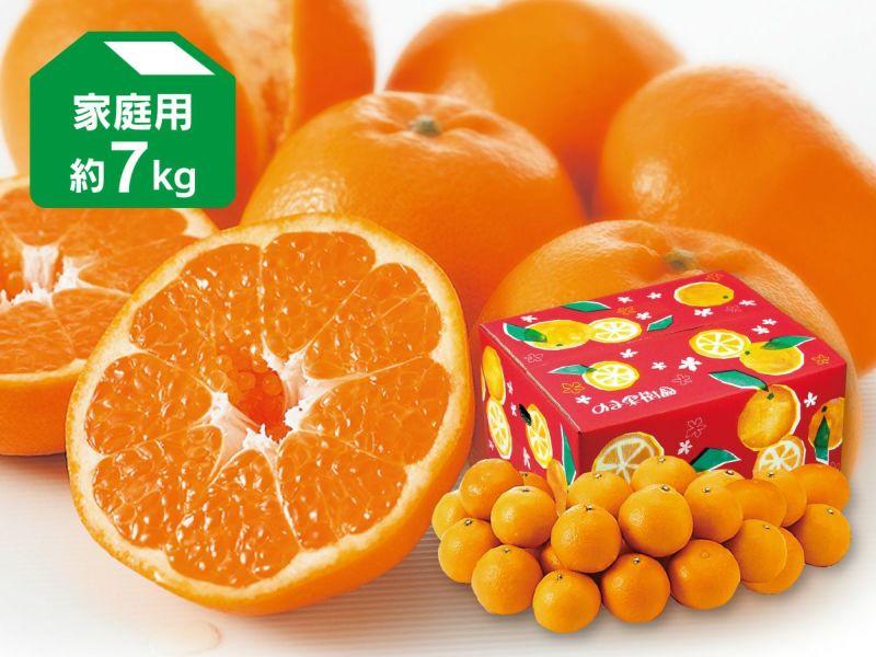 はるみ 約7kg 家庭用