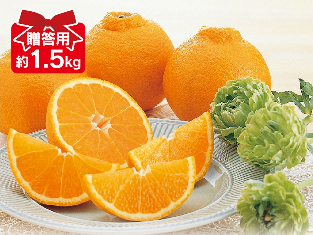 デコタンゴール 約1.5kg 贈答用