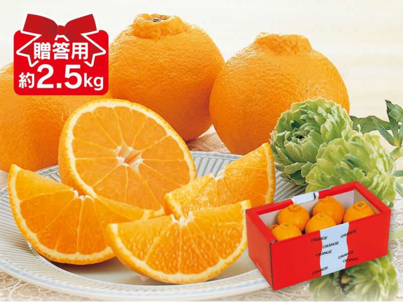 デコタンゴール 約2.5kg 贈答用