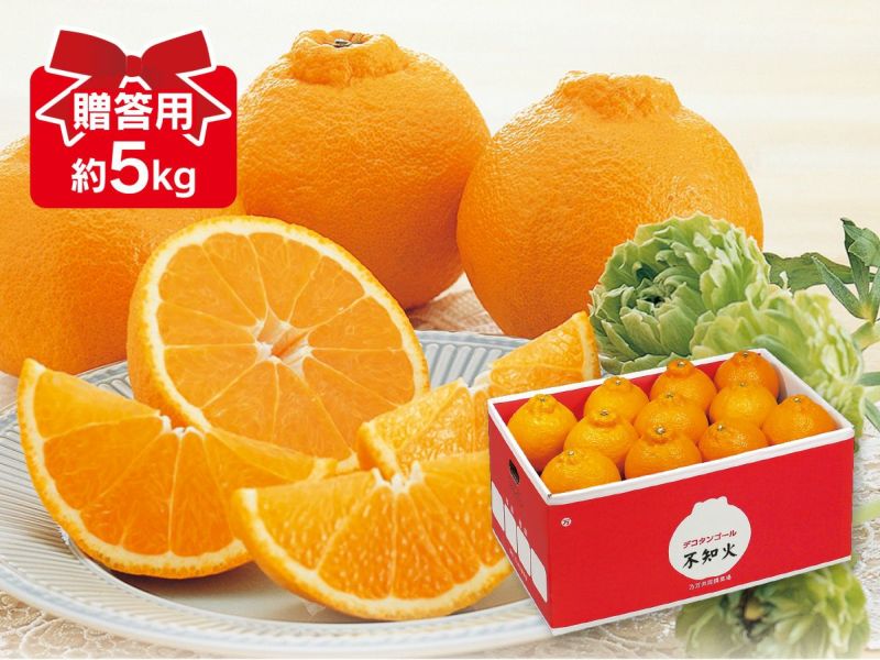 デコタンゴール 約5kg 贈答用