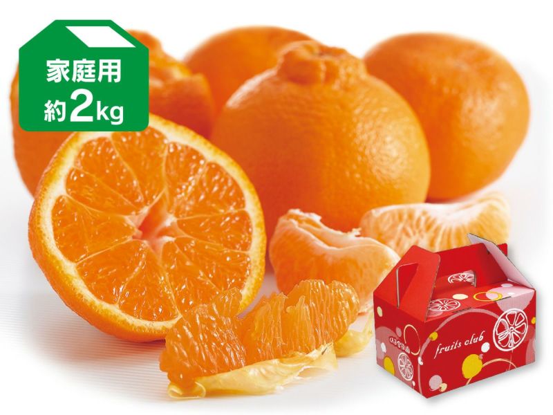 デコタンゴール 約2kg 家庭用