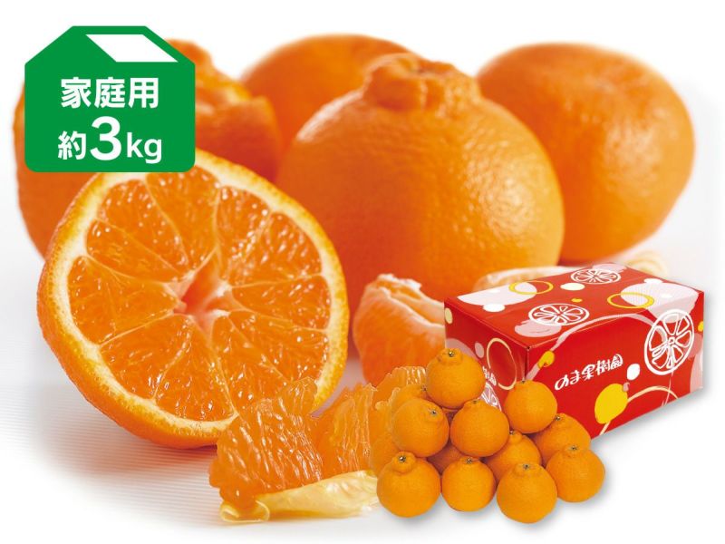 デコタンゴール 約3kg 家庭用【2月28日頃より順次発送】