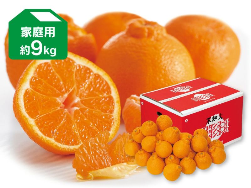 デコタンゴール 約9kg 家庭用