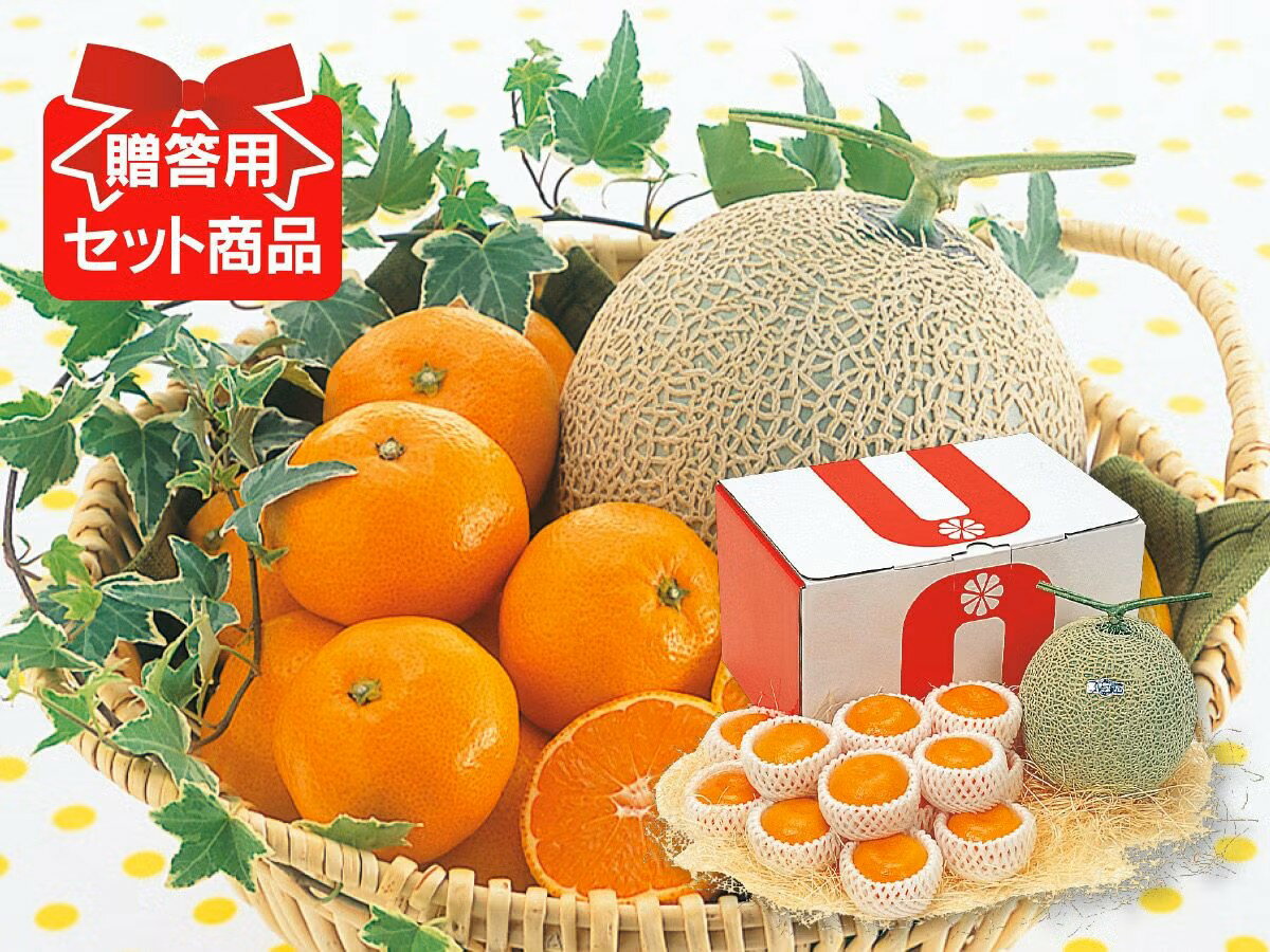 ハウスみかん＆マスクメロンセット(1玉)